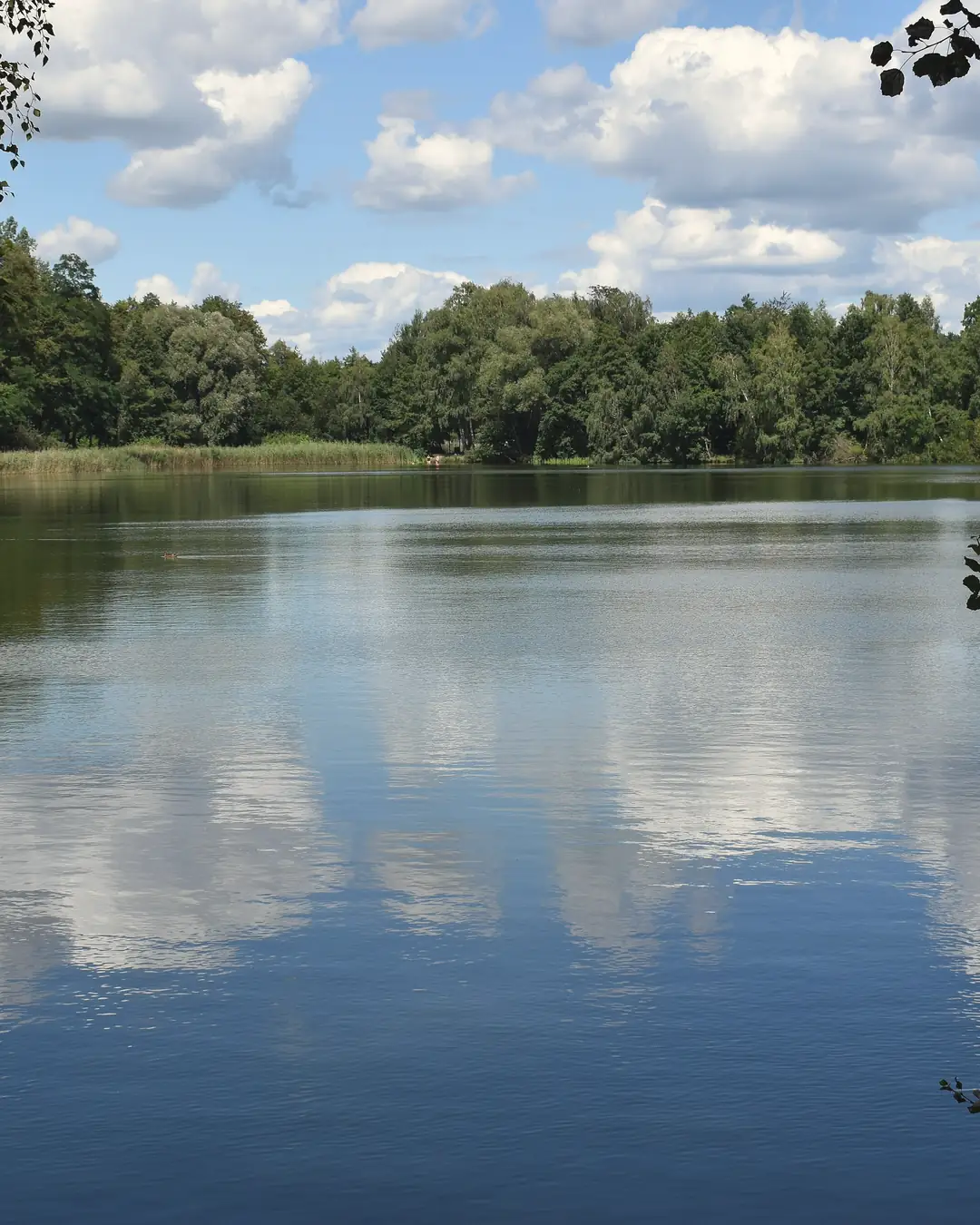 Neuer See in Falkensee im Sommer